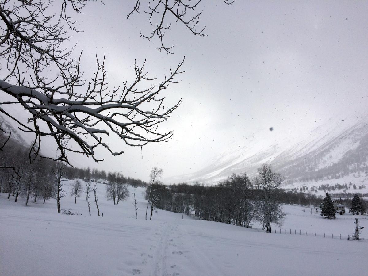 Overvoll Farm Stranda  Eksteriør bilde