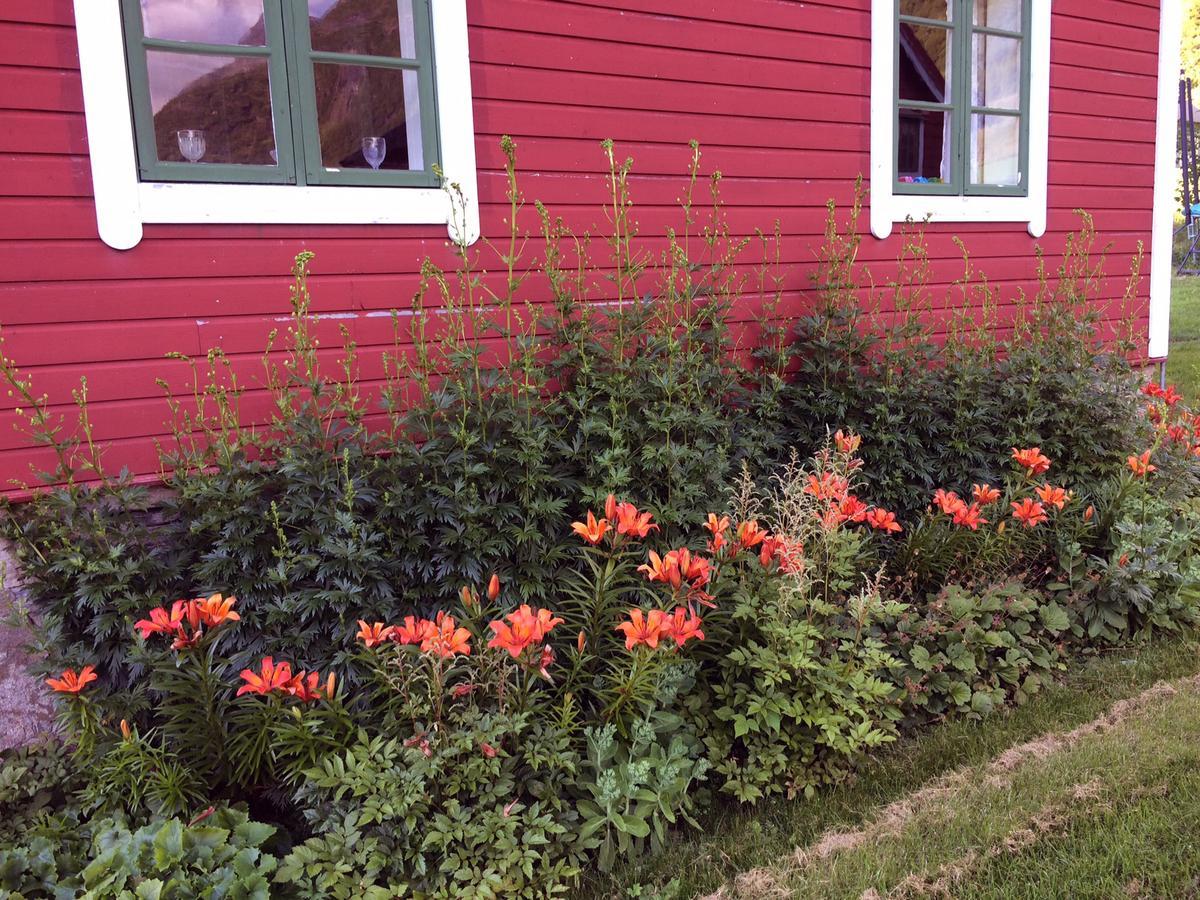 Overvoll Farm Stranda  Eksteriør bilde